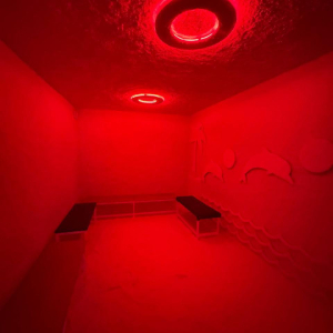 WhatsApp Image 2025 11 26 At 12.31.21